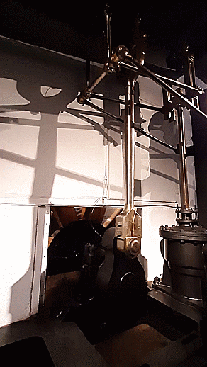 T-20201127-100652_P2700433-gx1 insta005.gif